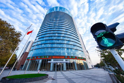 聚焦河南自貿五周年 自貿區政策賦能，鄭商所將新設商品交易中心